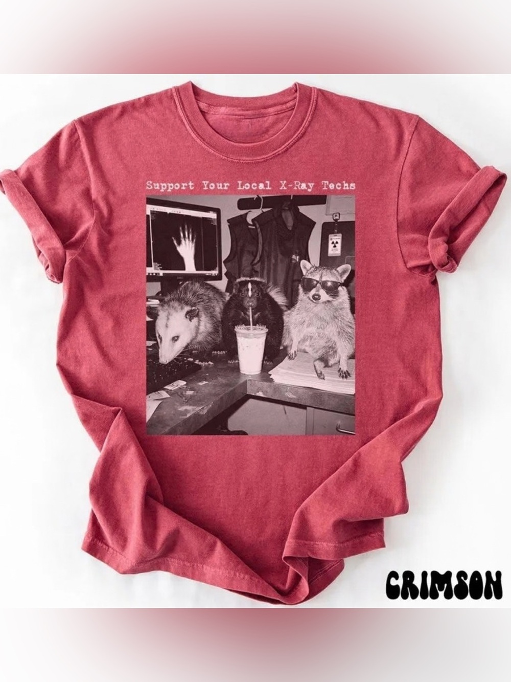Comfort Colors Library Team Sweatshirt, Raccon Possum Librarian Sweatshirt